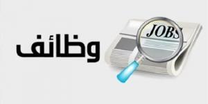 بمرتبات تصل إلى 3600 ريال.. تفاصيل وظائف المصريين في السعودية 2025 - ميديا سبورت