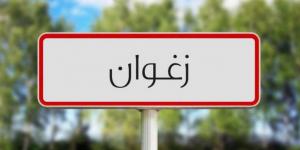 زغوان: وزير التعليم العالي يطلع على سير المؤسسات الجامعية بالمركب الجامعي بزغوان ويتعهد بدعمها بإحداثات جديدة - ميديا سبورت