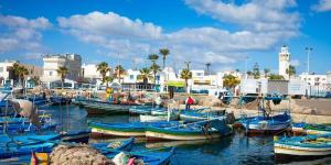 المهدية: أغلب المواد الغذائية ستكون متوفرة بالكميات المناسبة خلال شهر رمضان المعظّم - ميديا سبورت