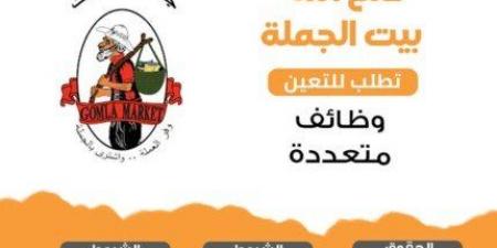 «الشباب والرياضة» تعلن عن وظائف خالية.. التخصصات والشروط - ميديا سبورت