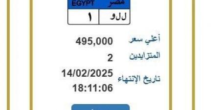 لوحة معدنية مميزة وصل سعرها 495 ألف جنيه.. آخر موعد لانتهاء المزايدة - ميديا سبورت