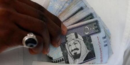 سعر الريال السعودي مقابل الجنيه اليوم الإثنين 24 فبراير 2025 - ميديا سبورت