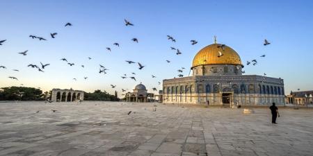 أوقاف القدس: مظلات في باحات المسجد الأقصى لحماية المصلين من البرد - ميديا سبورت