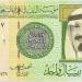 سعر الريال السعودي اليوم الأربعاء 5 فبراير 2025 - ميديا سبورت