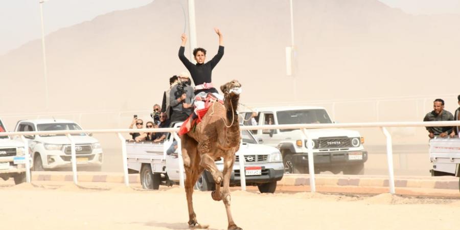 وزير الرياضة ومحافظ جنوب سيناء يشهدان ختام المهرجان العربي للهجن والتراث .. صور - ميديا سبورت