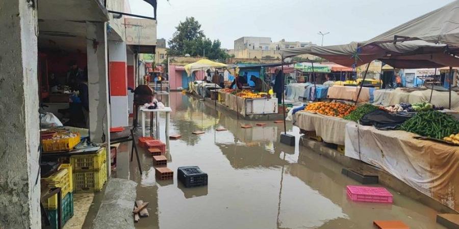 تجار السوق اليومية القديمة للخضر والغلال ببوحجلة يطالبون السلط الجهوية بتدخل..صور - ميديا سبورت