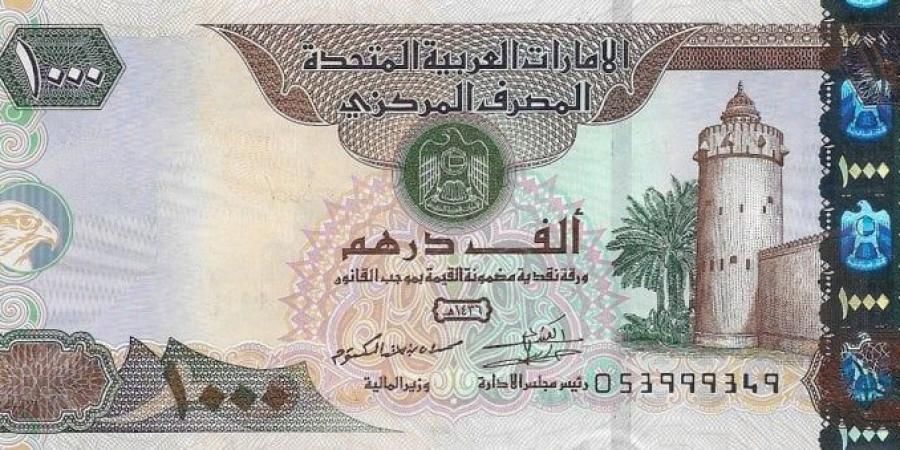 سعر الدرهم الإماراتي مقابل الجنيه اليوم السبت 18 يناير 2025 في البنوك - ميديا سبورت