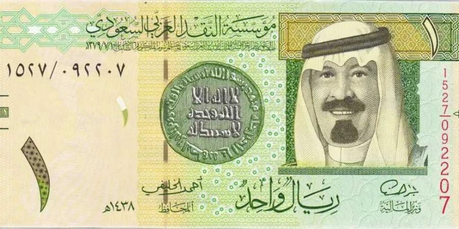 سعر الريال السعودي مقابل الجنيه المصري اليوم السبت 1 فبراير 2025 - ميديا سبورت