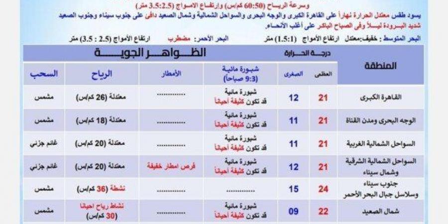 تحذير عاجل من الأرصاد بشأن حالة الطقس اليوم السبت 1 فبراير 2025: احذر الشبورة - ميديا سبورت