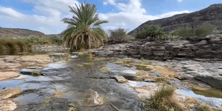 وادي خضرة.. واحة خضراء تتزين بالنخيل - ميديا سبورت