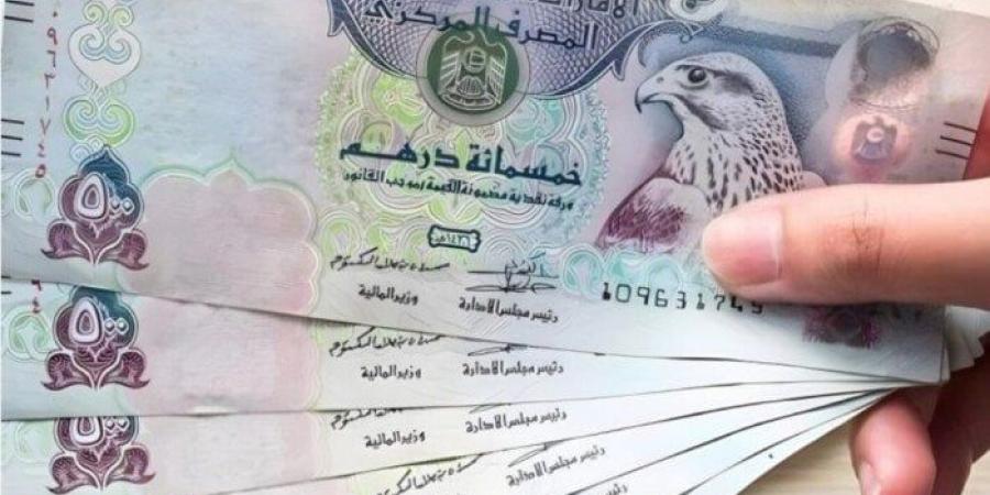 سعر الدرهم الإماراتي مقابل الجنيه المصري اليوم الأحد 2 فبراير 2025 - ميديا سبورت