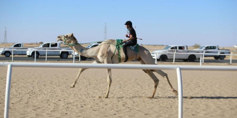 سعودي وقطري وإماراتي يتنافسون على "سيف السعودية" - ميديا سبورت