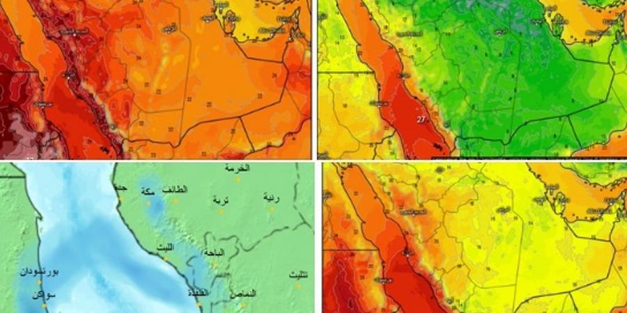 "الحصيني": ارتفاع تدريجي في درجات الحرارة غدًا مع أجواء باردة ليلاً - ميديا سبورت