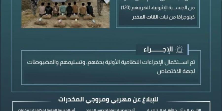 حرس الحدود بعسير يقبض على 8 مخالفين لنظام أمن الحدود لتهريبهم (120) كلجم من نبات القات المخدر - ميديا سبورت