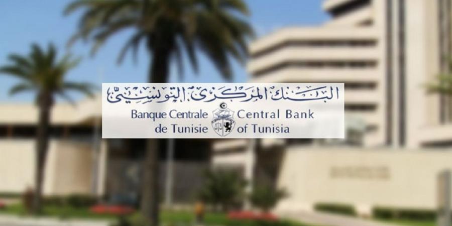 البنك المركزي ووزارة المالية يتعين عليهما إجراء تدقيق بشأن عدم تطبيق قانون التخفيض في فوائض القروض - خبير - ميديا سبورت