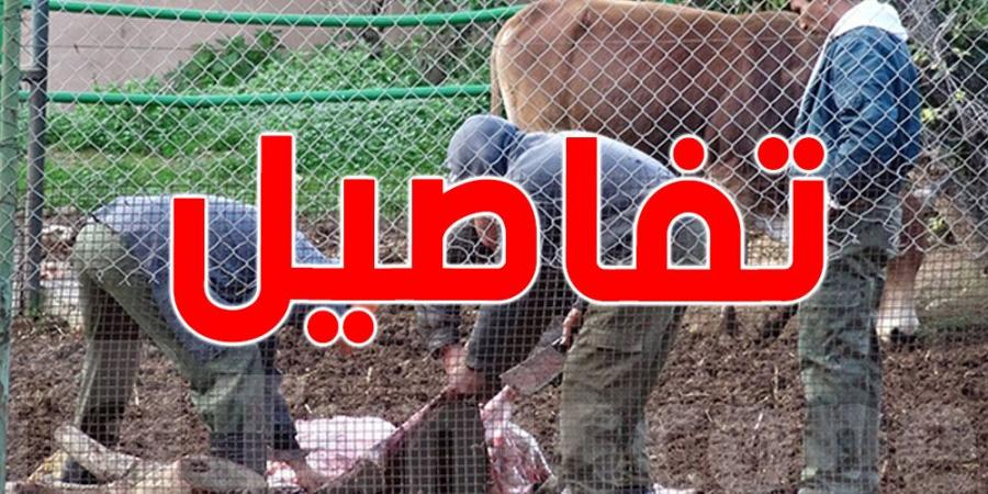 عمادة أطباء البياطرة تحذر: تزايد الذبح العشوائي يهدد صحة التونسيين - ميديا سبورت