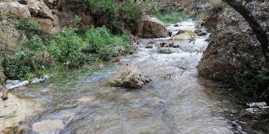 مطالب بإدراج راجب ضمن المدن السياحية العالمية - ميديا سبورت