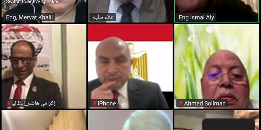 نائب التنسيقية محمود القط يشارك في لقاء الاتحاد العام للمصريين بالخارج بعنوان "لا للتهجير" - ميديا سبورت