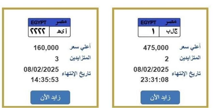 «ج.ل.ب ـ 1».. المرور تطرح لوحة سيارة بنصف مليون جنيه - ميديا سبورت