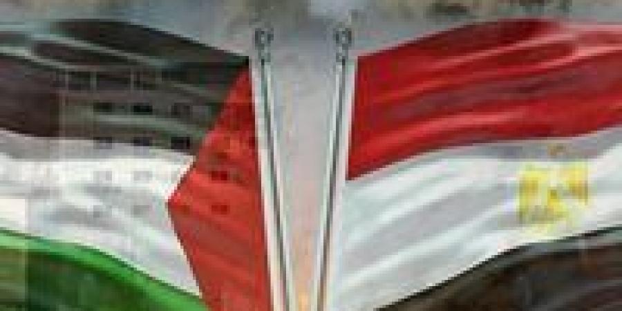 مصر ترفض المساس بحقوق الفلسطينيين… وتؤكد دعمها لإقامة دولتهم المستقلة - ميديا سبورت