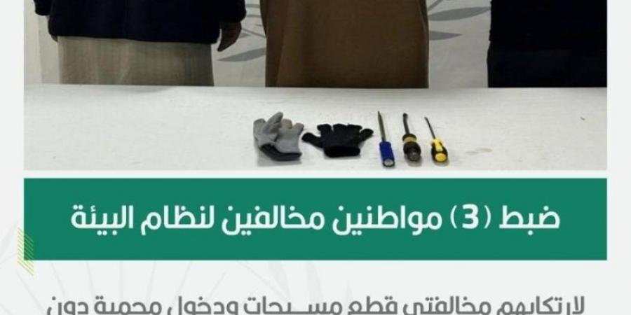 الأمن البيئي يضبط 3 مخالفين لارتكابهم مخالفتي قطع مسيجات ودخول محمية دون ترخيص - ميديا سبورت