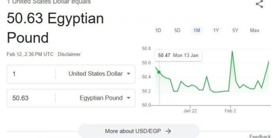 الأخضر يستقر.. سعر الدولار اليوم الأربعاء 12 فبراير 2025 في البنوك - ميديا سبورت