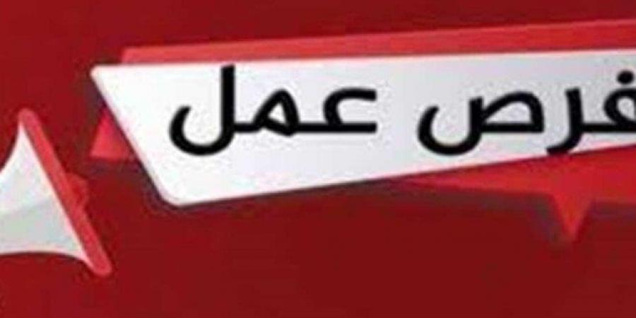 القبض بالدولار.. 800 فرصة عمل للتمريض بالمغرب - ميديا سبورت