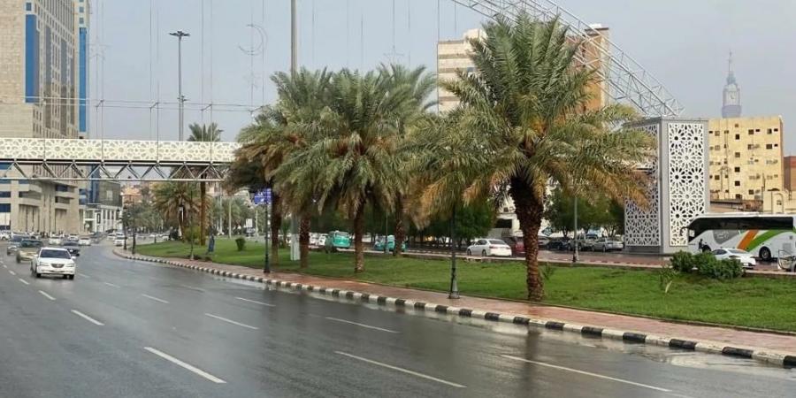 الأماكن والمواعيد.. ضباب متباين الشدة على أجزاء من 10 مناطق - ميديا سبورت