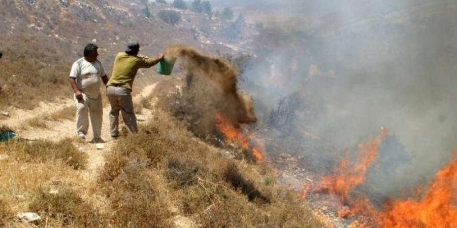 المجلس الوطنى الفلسطينى يدين هجوم مستوطنين على تجمع بدوى شمال القدساليوم الأحد، 23 فبراير 2025 07:49 صـ   منذ 32 دقيقة - ميديا سبورت