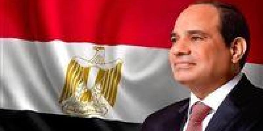 الرئيس السيسي: مصر مستعدة لتقديم جميع أشكال الدعم والمساندة لزامبيا - ميديا سبورت