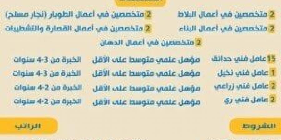 راتب يصل 390 دينار شهريًا.. وزارة العمل تعلن عن وظائف للكوادر المصرية بالأردن - ميديا سبورت