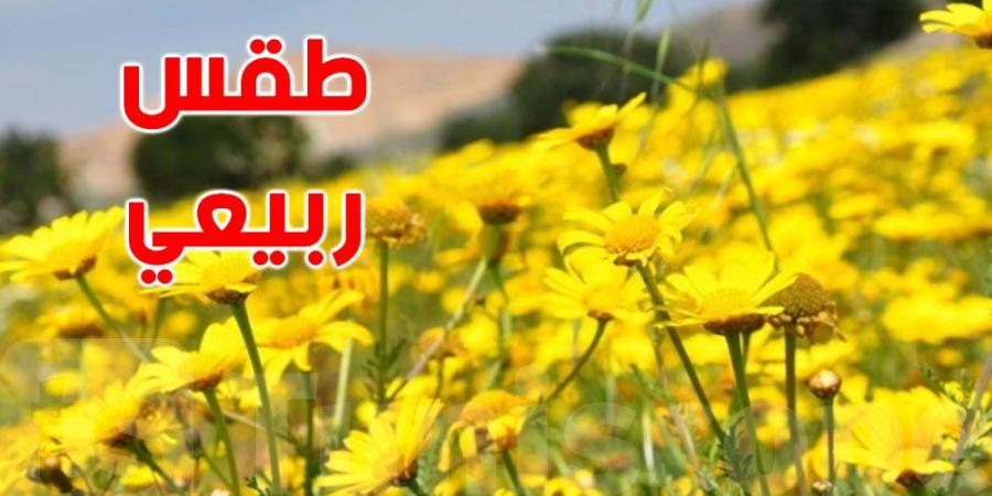 تونس تعيش أجواء ربيعية اليوم - ميديا سبورت