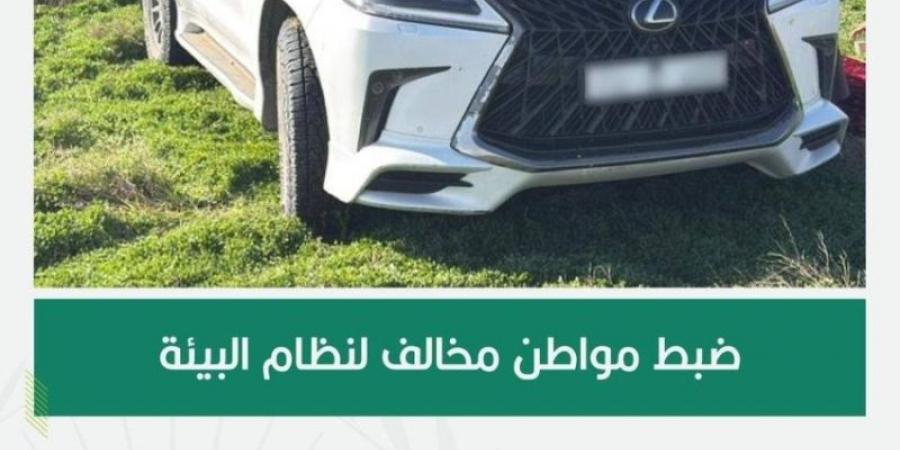 القوات الخاصة للأمن البيئي تضبط مواطنًا مخالفًا لنظام البيئة لدخوله بمركبته في الفياض والروضات في محمية الملك عبدالعزيز الملكية - ميديا سبورت