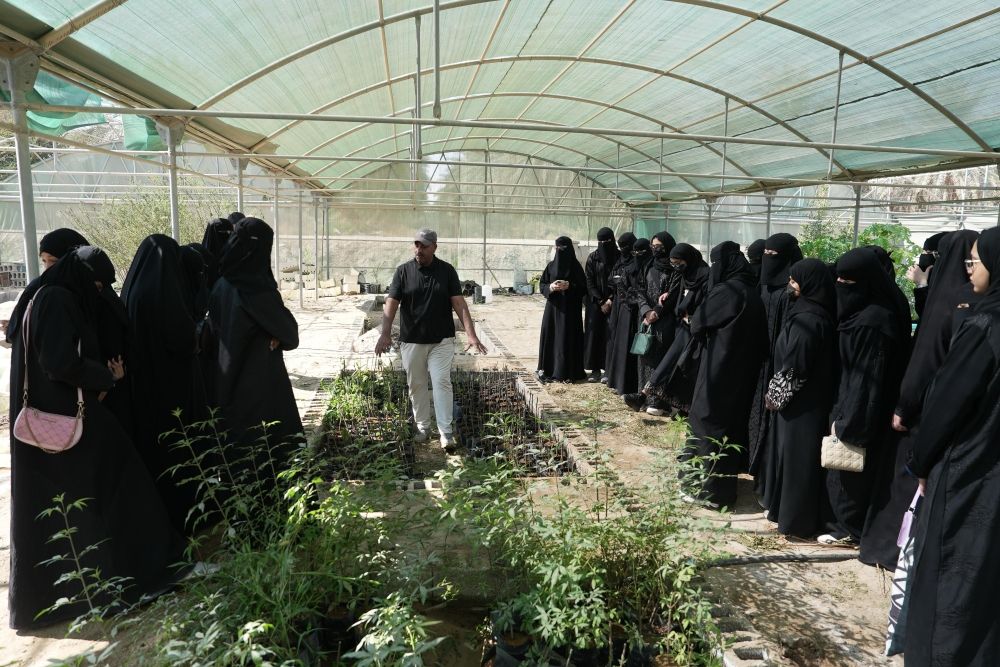 الأحساء.. 450 طالبًا يتعرفون على أساليب الزراعة العضوية خلال يناير - اليوم